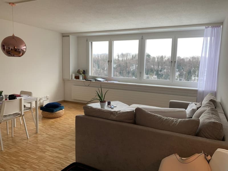 2.5 room apartment with open view (8)