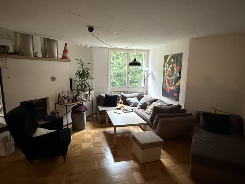 WG-Mitbewohner in grosszügigem EFH mit Garten per sofort oder nach Vereinbarung (3)
