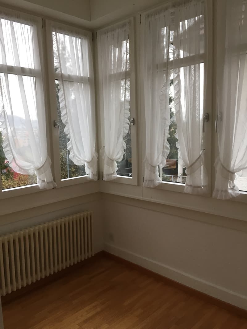 4 ½ rooms apartment, 5400 Baden (5)