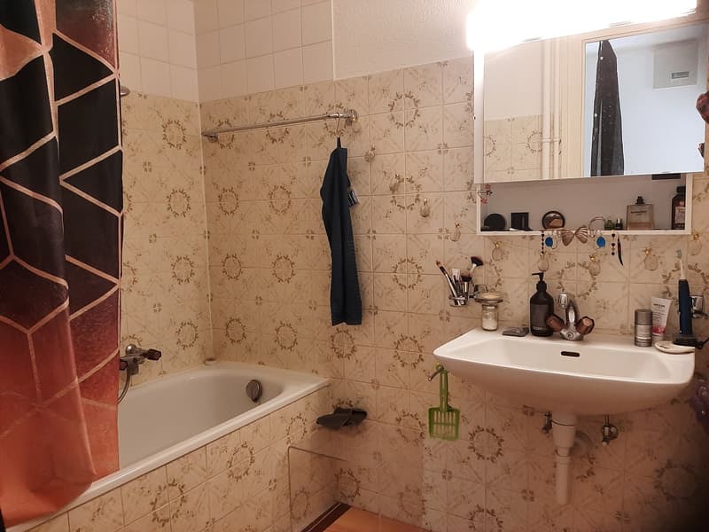 2 Zimmer hell in Pérolles (4)