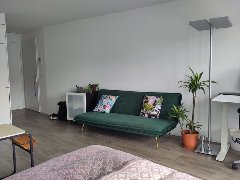 Furnished Studio in Dübendorf for Sublet Nov. 2026 - Jan 2027 (9)