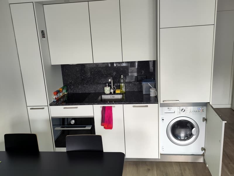Furnished Studio in Dübendorf for Sublet Nov. 2026 - Jan 2027 (5)