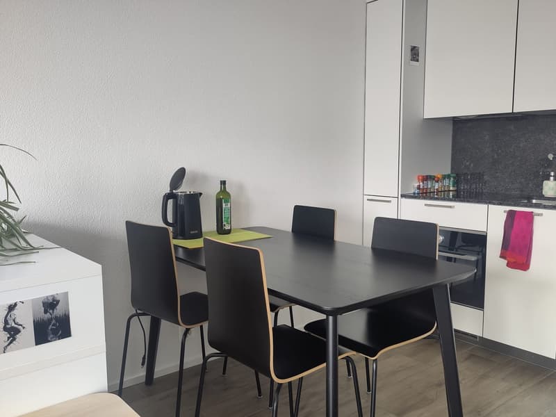 Furnished Studio in Dübendorf for Sublet Nov. 2026 - Jan 2027 (6)