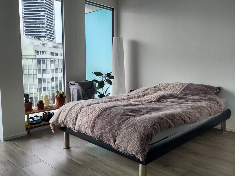 Furnished Studio in Dübendorf for Sublet Nov. 2026 - Jan 2027 (3)