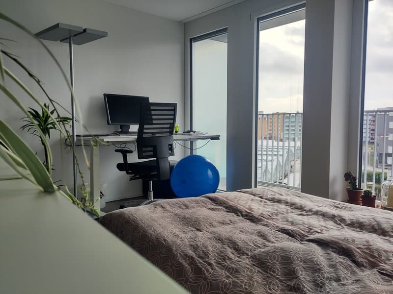 Furnished Studio in Dübendorf for Sublet Nov. 2026 - Jan 2027 (4)
