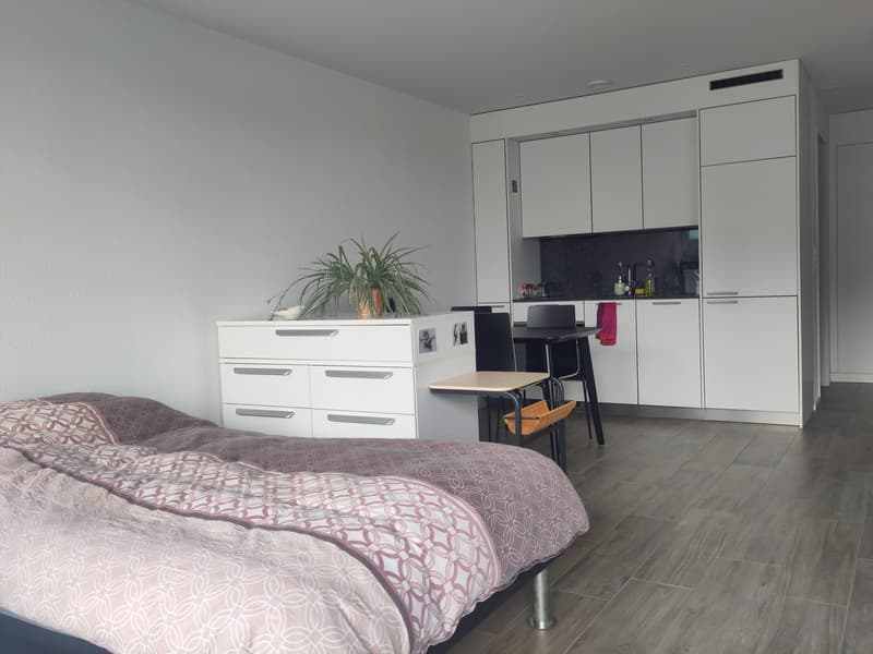 Furnished Studio in Dübendorf for Sublet Nov. 2026 - Jan 2027 (2)