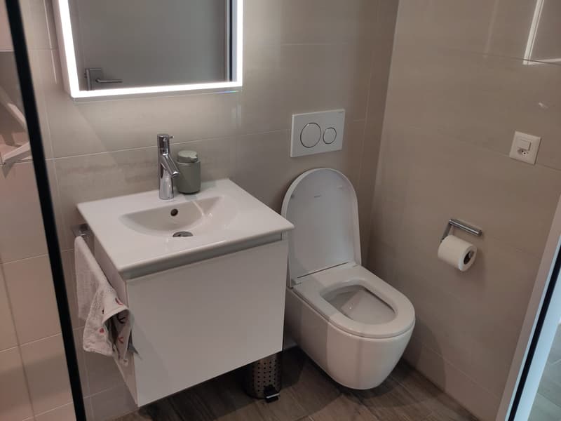 Furnished Studio in Dübendorf for Sublet Nov. 2026 - Jan 2027 (8)
