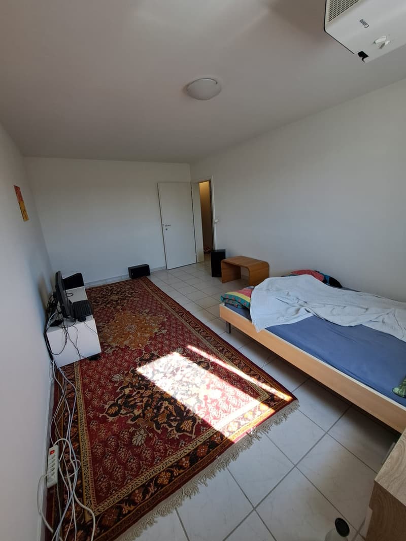 Möbliertes Zimmer in ruhiger 4-Zimmer-Wohnung, Arlesheim 6 Min. zum Bahnhof Dornach-Arlesheim (2)