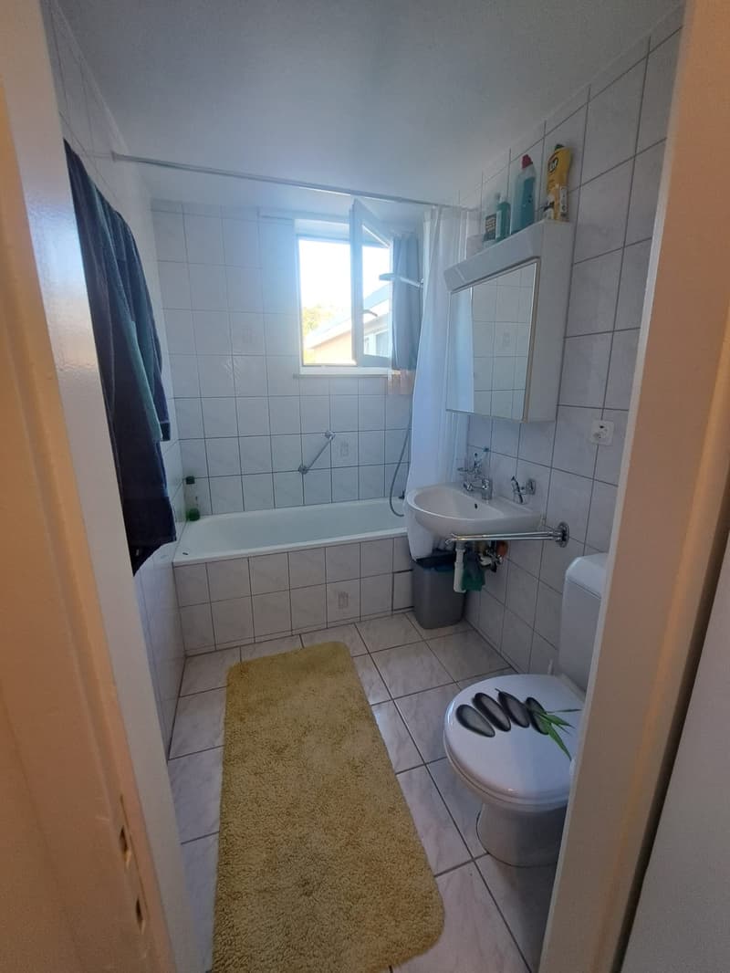 Möbliertes Zimmer in ruhiger 4-Zimmer-Wohnung, Arlesheim 6 Min. zum Bahnhof Dornach-Arlesheim (4)