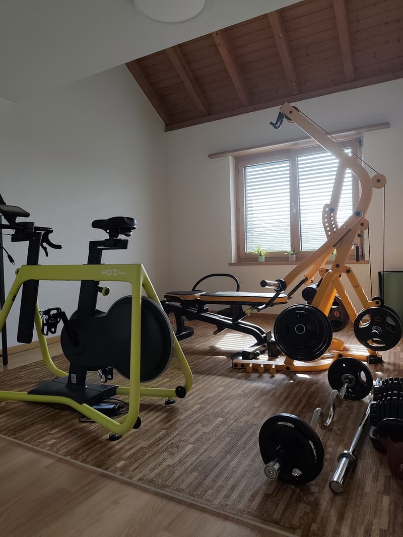 Maisonette de rêve 5.5 pièces (environ 155 m²) avec galerie, poutres apparentes et cheminée à Märstetten (6)