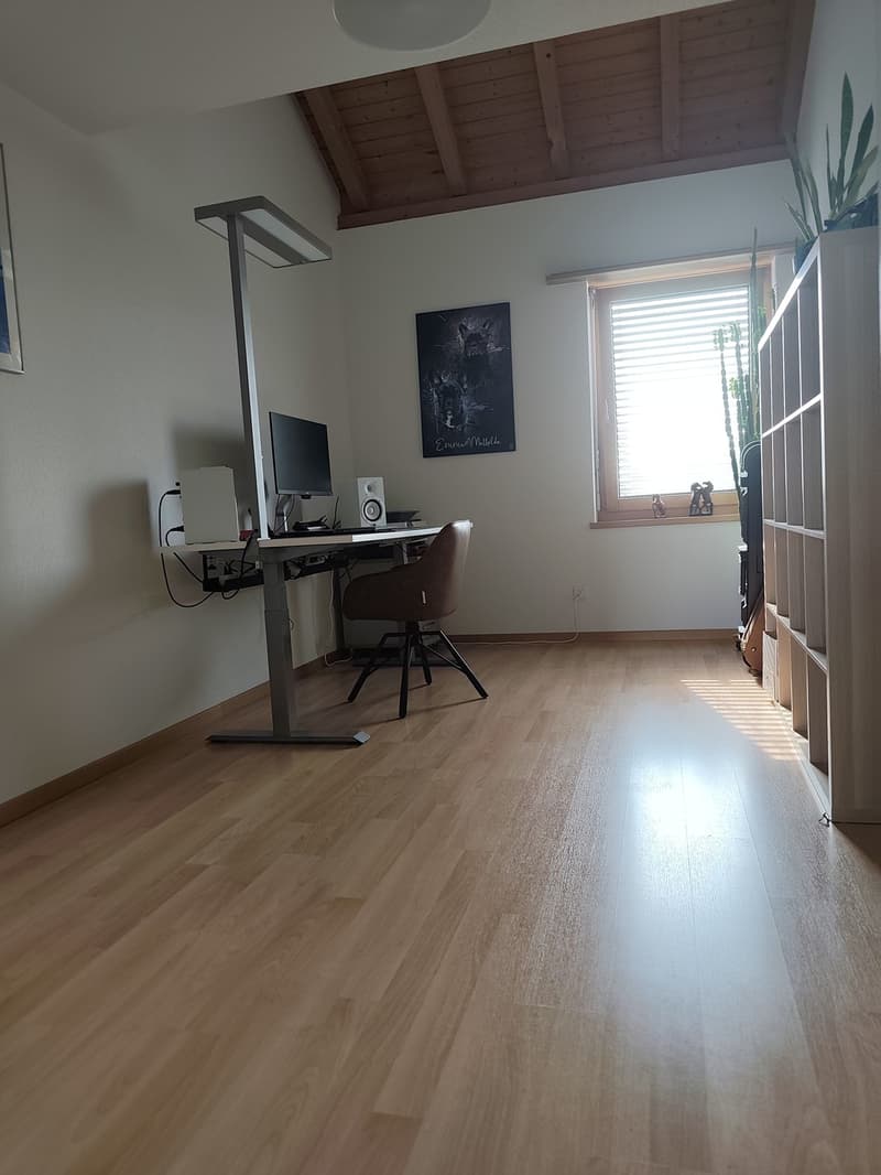 Maisonette de rêve 5.5 pièces (environ 155 m²) avec galerie, poutres apparentes et cheminée à Märstetten (4)