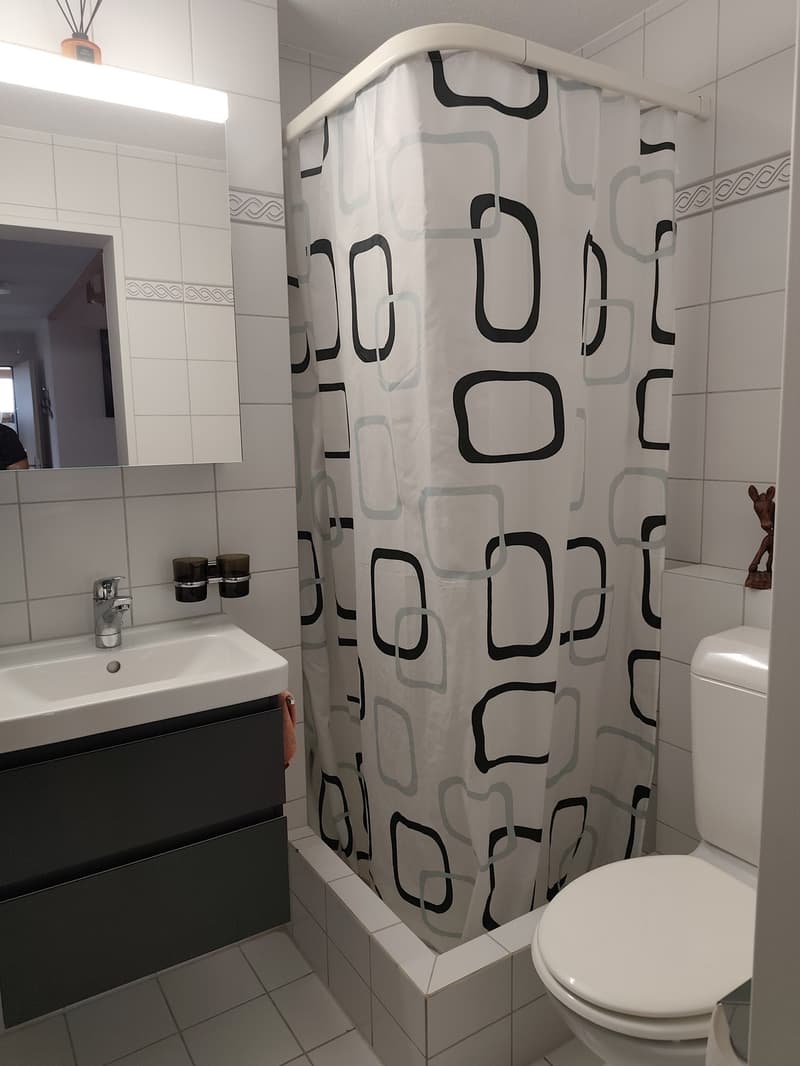 Maisonette de rêve 5.5 pièces (environ 155 m²) avec galerie, poutres apparentes et cheminée à Märstetten (9)