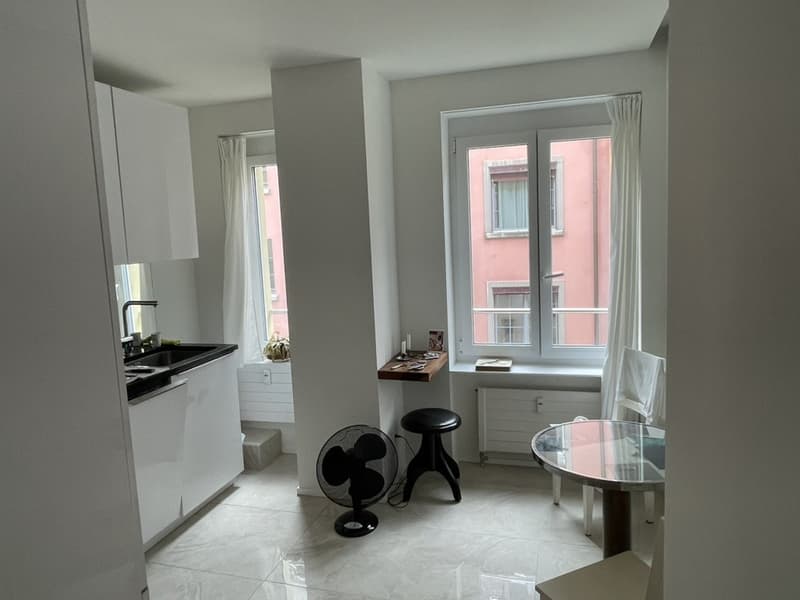 Mitbewohner/in für schöne 3 1/2 - Zimmerwohnung gesucht - Seeking a roommate for a beautiful 3 1/2-room apartment (11)