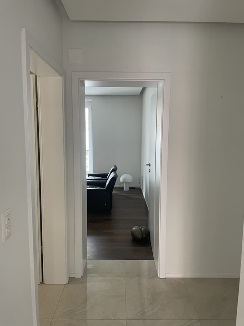 Mitbewohner/in für schöne 3 1/2 - Zimmerwohnung gesucht - Seeking a roommate for a beautiful 3 1/2-room apartment (7)