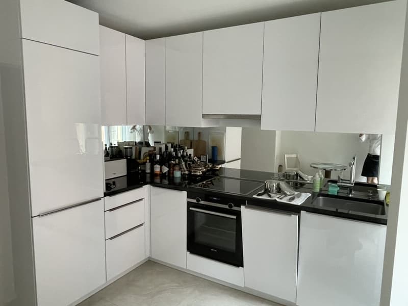 Mitbewohner/in für schöne 3 1/2 - Zimmerwohnung gesucht - Seeking a roommate for a beautiful 3 1/2-room apartment (12)