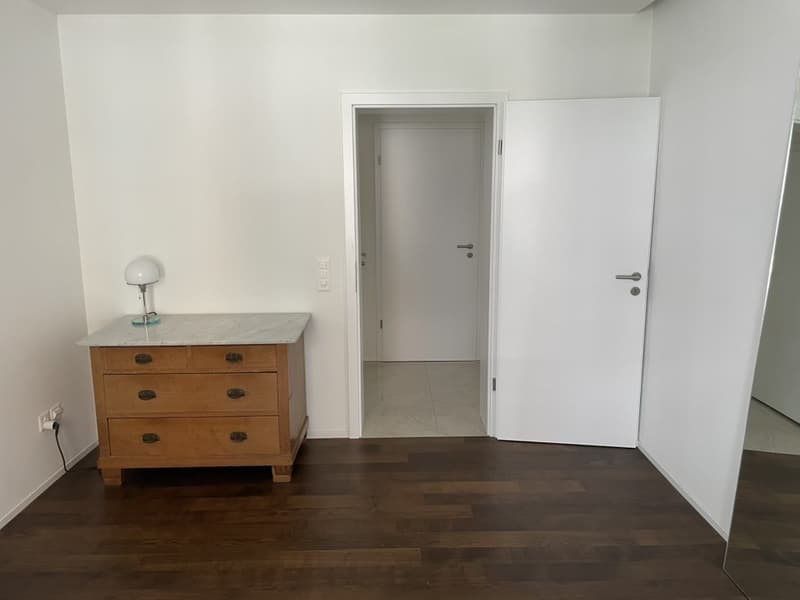 Mitbewohner/in für schöne 3 1/2 - Zimmerwohnung gesucht - Seeking a roommate for a beautiful 3 1/2-room apartment (4)
