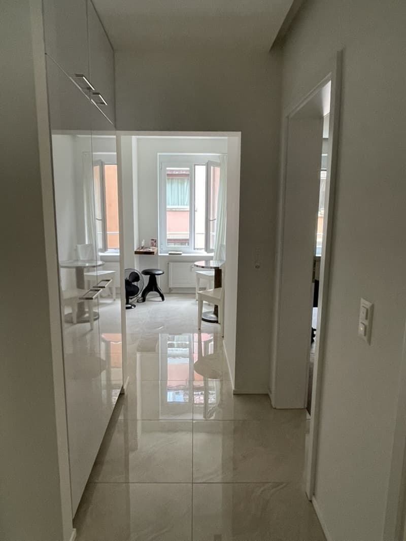 Mitbewohner/in für schöne 3 1/2 - Zimmerwohnung gesucht - Seeking a roommate for a beautiful 3 1/2-room apartment (10)