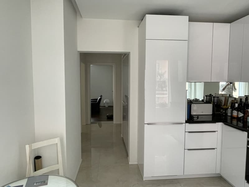 Mitbewohner/in für schöne 3 1/2 - Zimmerwohnung gesucht - Seeking a roommate for a beautiful 3 1/2-room apartment (13)