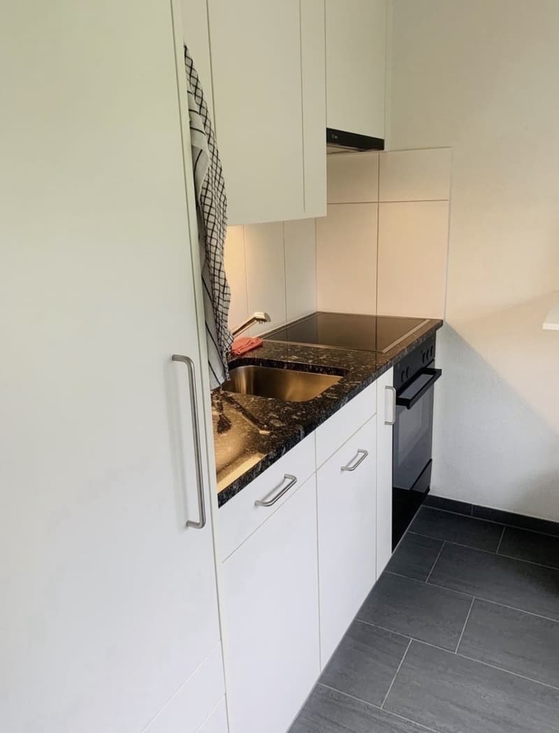 1.5 room apartment in Dübendorf (6 months) (6)