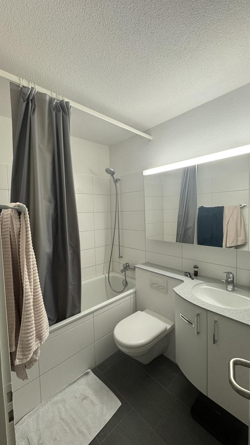 1.5 room apartment in Dübendorf (6 months) (5)