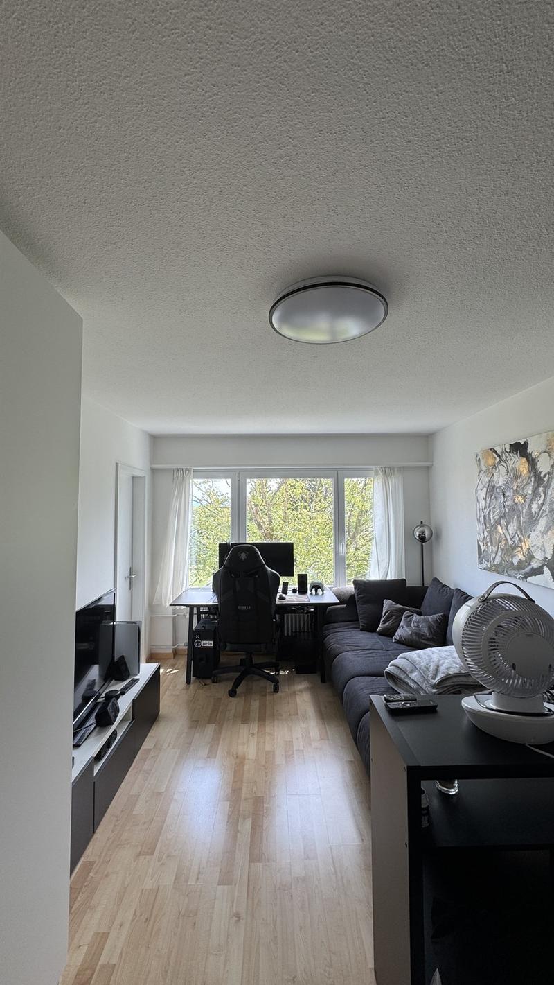 1.5 room apartment in Dübendorf (6 months) (2)