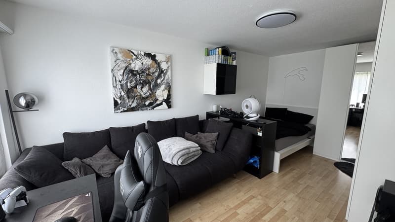 1.5 room apartment in Dübendorf (6 months) (1)