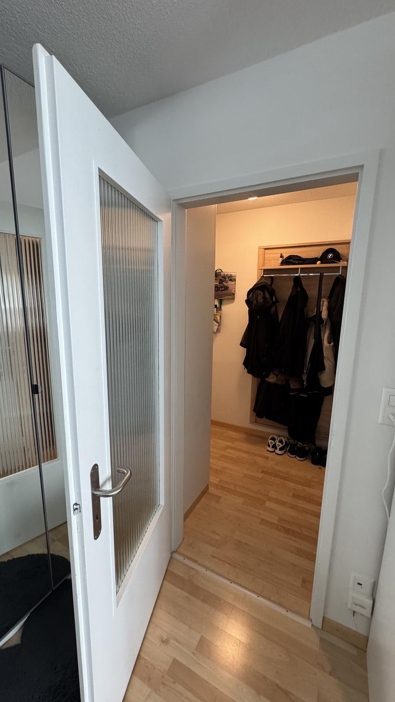 1.5 room apartment in Dübendorf (6 months) (3)