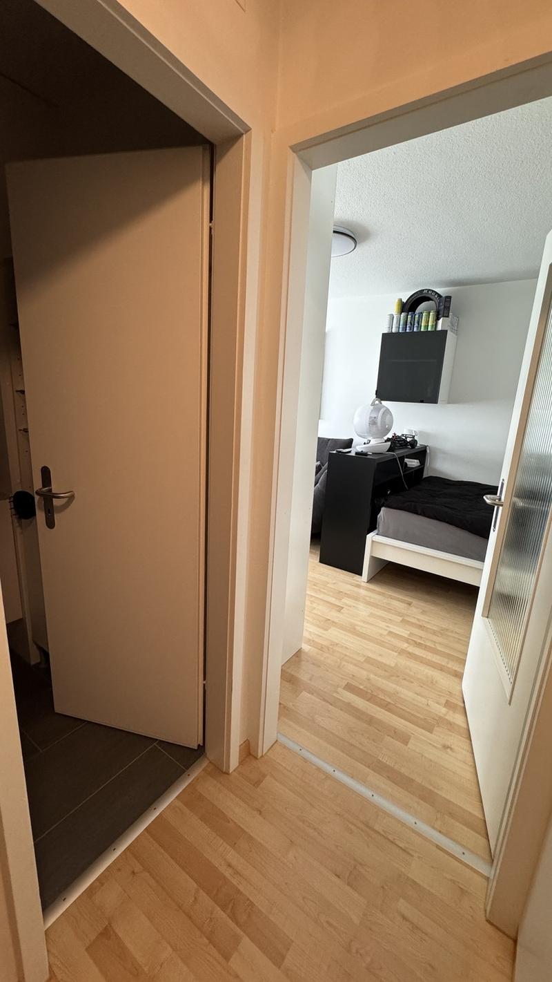 1.5 room apartment in Dübendorf (6 months) (4)