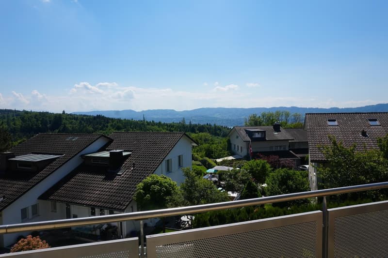 3.5-room apartment in Witikon 1975 CHF incl. additional costs Available from 1 September 2026 (6)