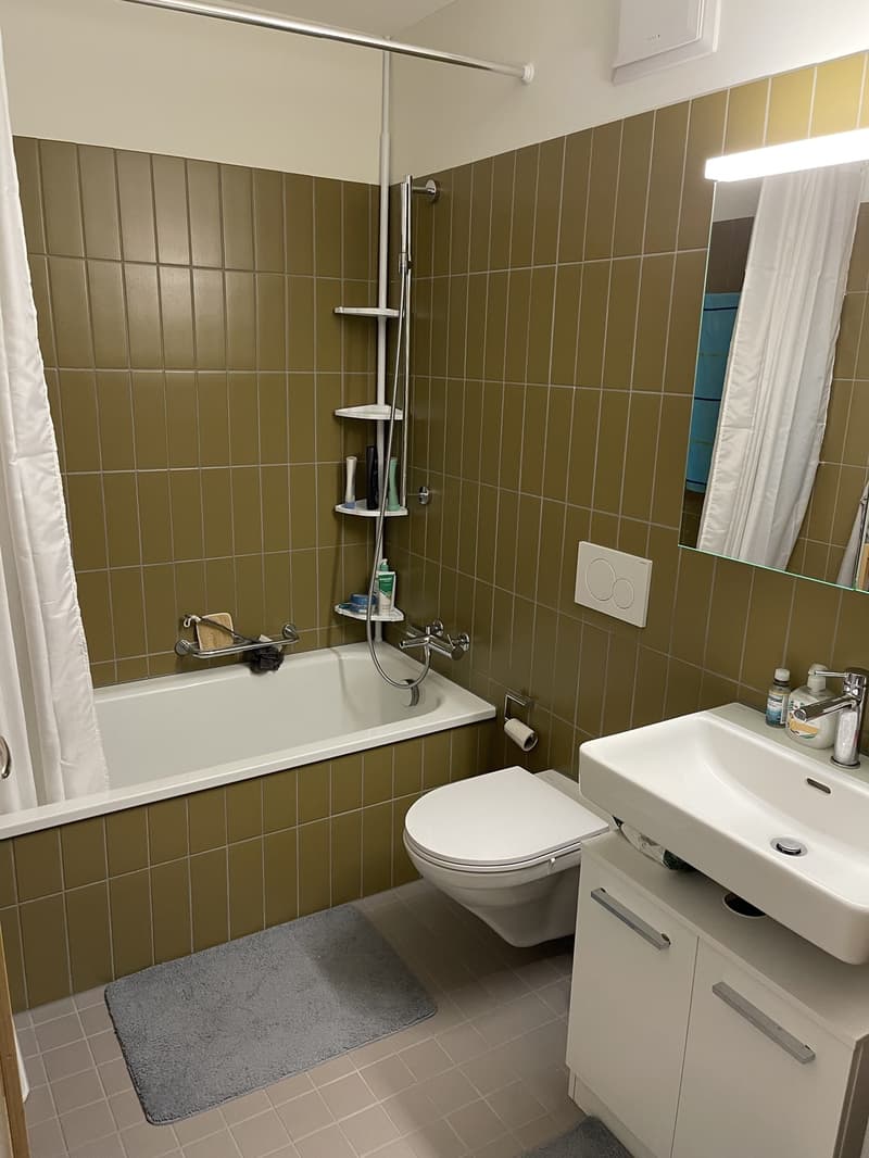 Room in shared apartment for rent from 1 October to 31 December (6)