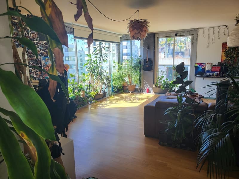 Beautiful Green Apartment Central Zurich (11)
