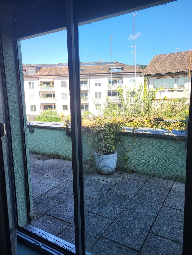 Beautiful Green Apartment Central Zurich (13)