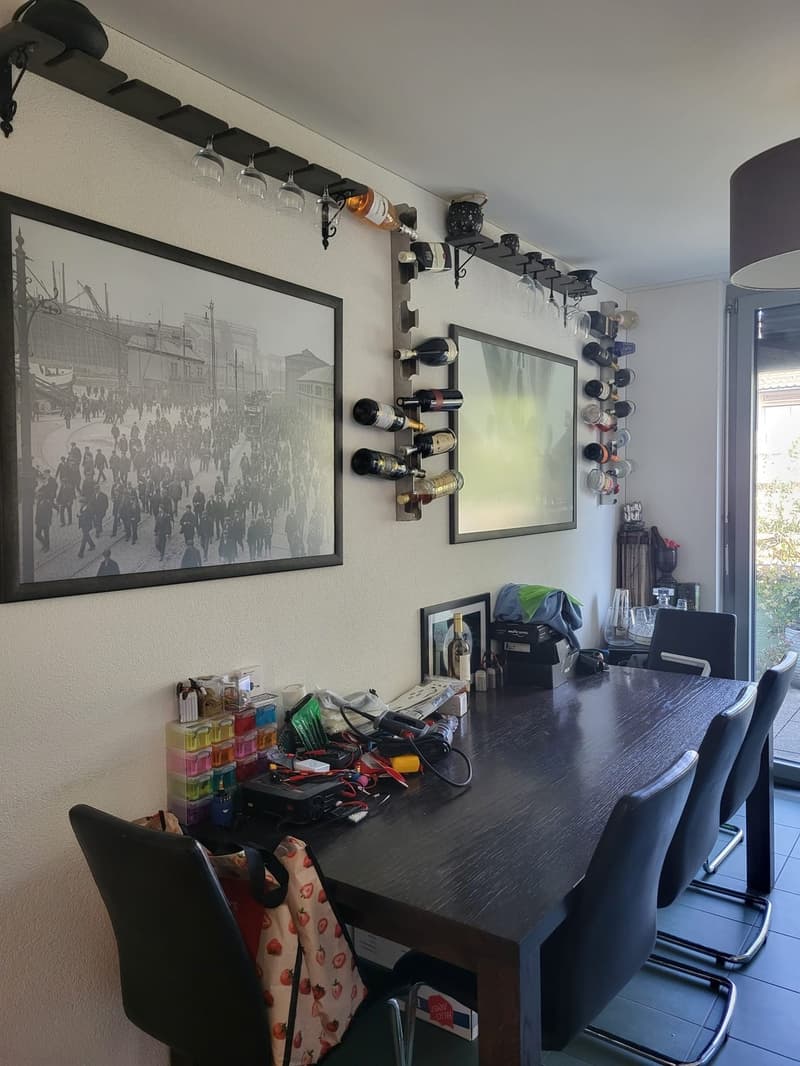 Beautiful Green Apartment Central Zurich (10)