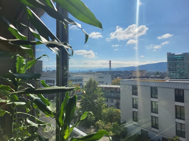 Beautiful Green Apartment Central Zurich (9)