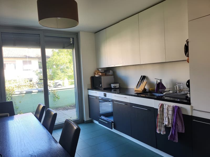 Beautiful Green Apartment Central Zurich (9)