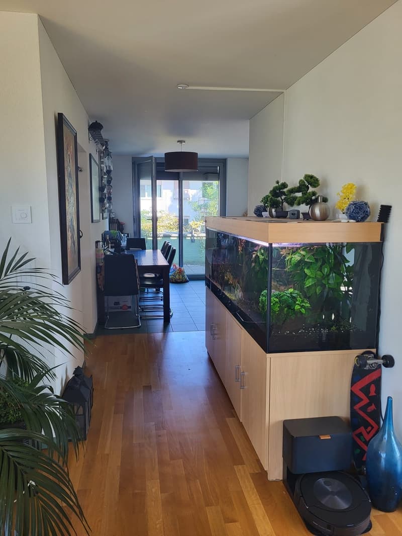 Beautiful Green Apartment Central Zurich (7)