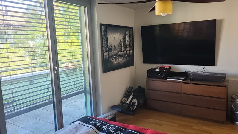 Beautiful Green Apartment Central Zurich (1)