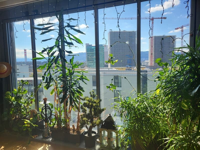Beautiful Green Apartment Central Zurich (2)
