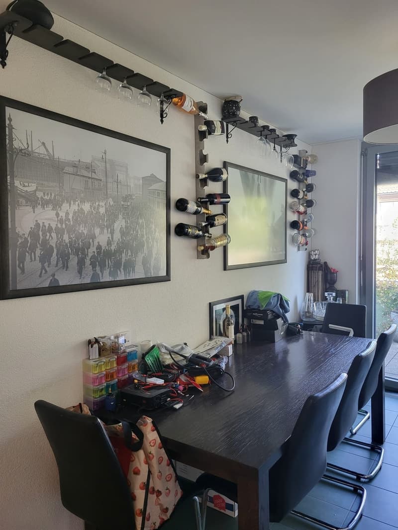 Beautiful Green Apartment Central Zurich (11)