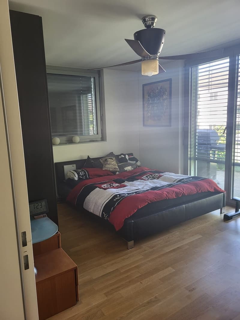 Beautiful Green Apartment Central Zurich (6)