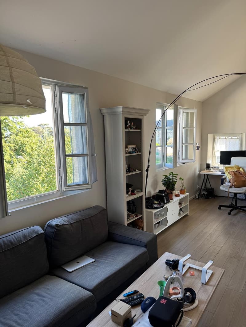 Lake view apartment (4)