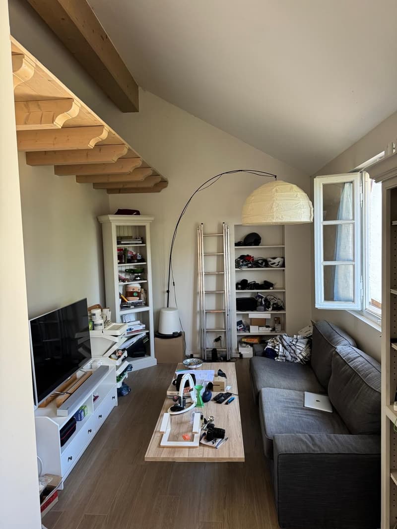 Lake view apartment (8)