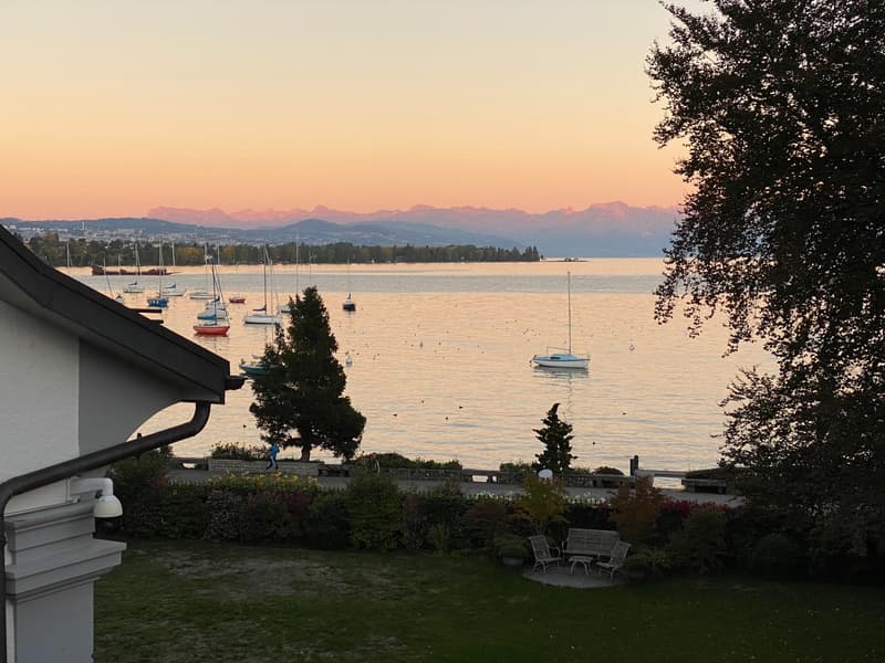 Lake view
