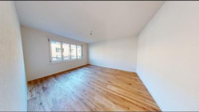 Suche 2 neue Mitbewohner:innen! (2)