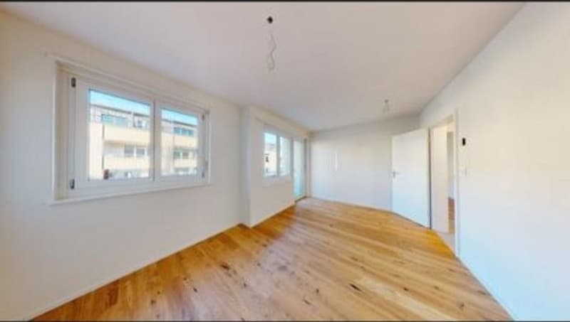 Suche 2 neue Mitbewohner:innen! (4)