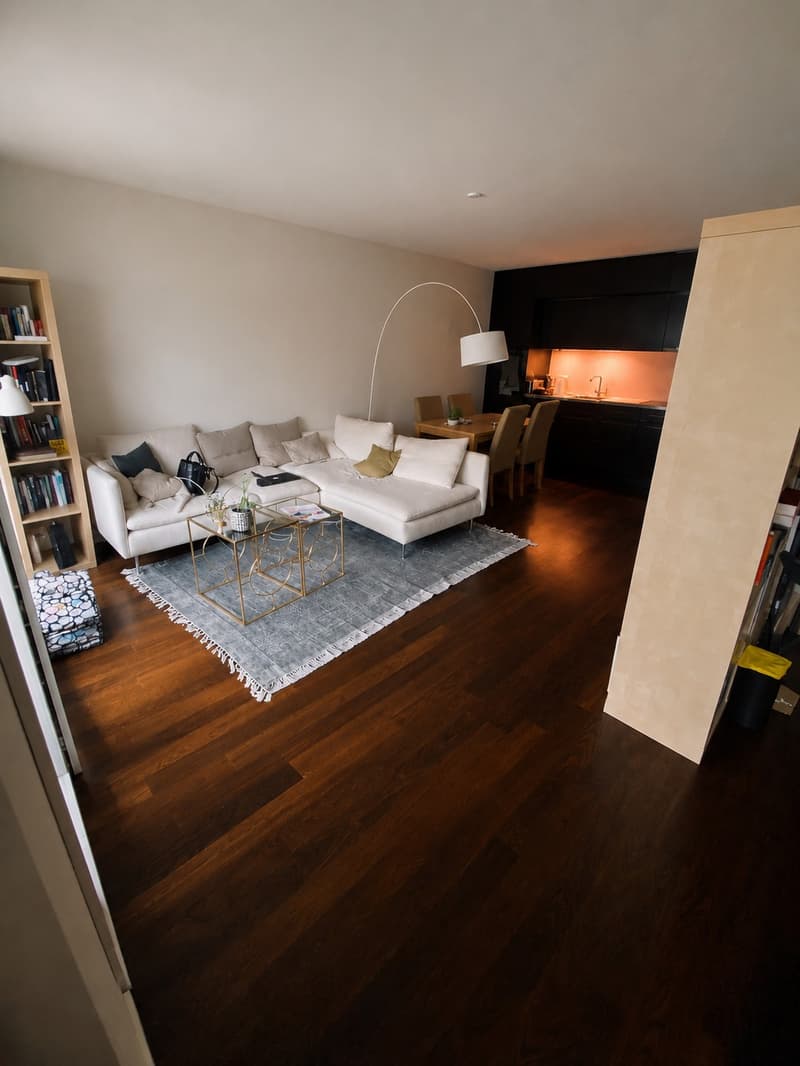 Sublet from September 2026 - Beautiful furnished studio in Zurich District 5 for subrent (1)