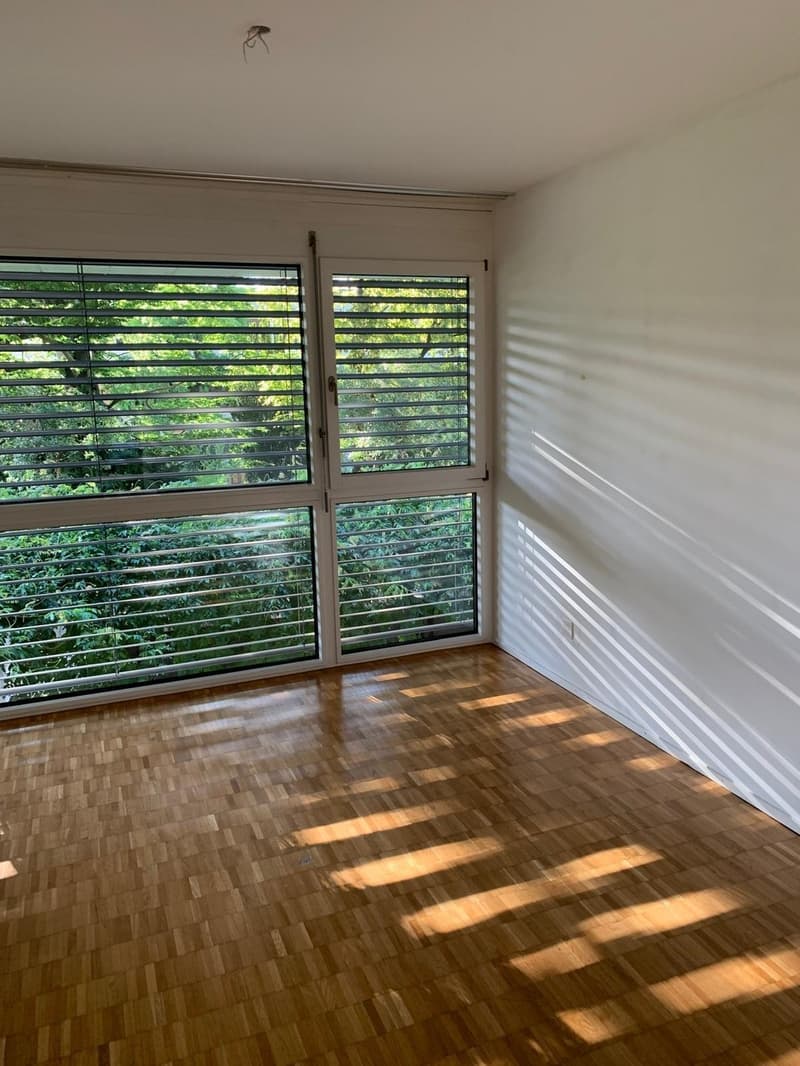 Bright unfurnished room in shared Altstetten apartment, 15min to Zurich city center (6)