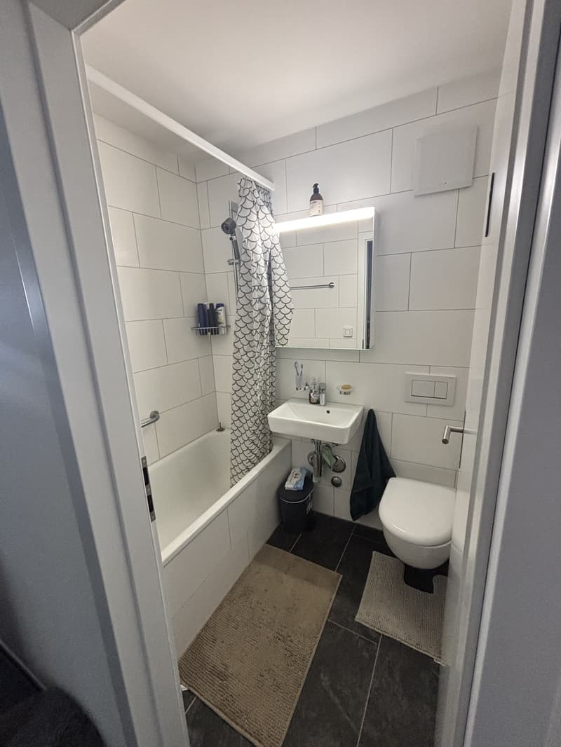 Bright Room in a Renovated Apartment | Spreitenbach | Available from September (3)
