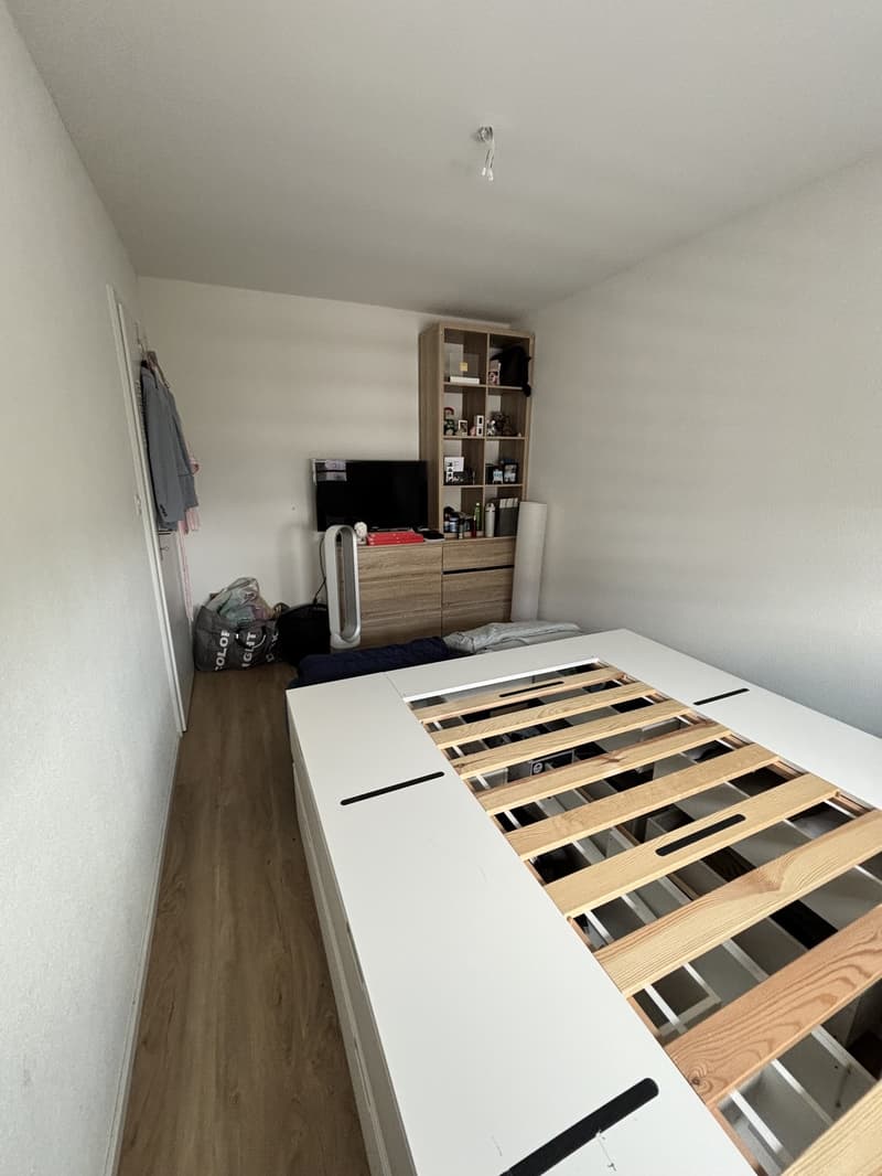 Bright Room in a Renovated Apartment | Spreitenbach | Available from September (4)