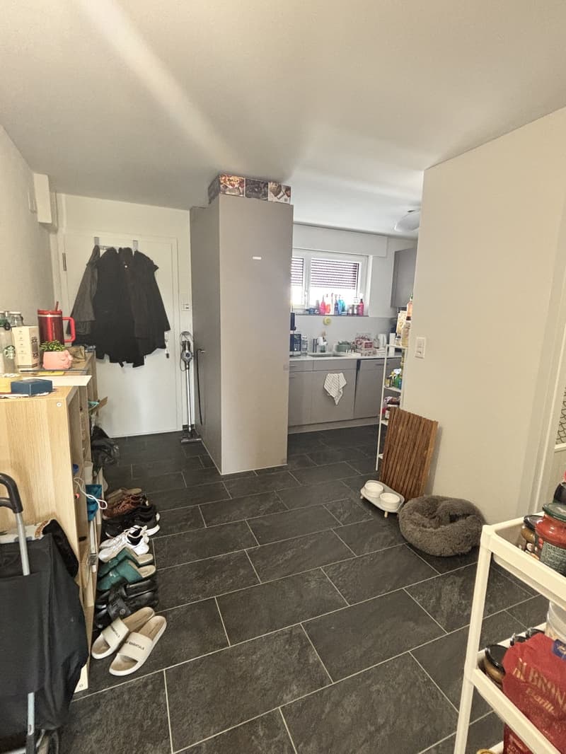 Bright Room in a Renovated Apartment | Spreitenbach | Available from September (2)